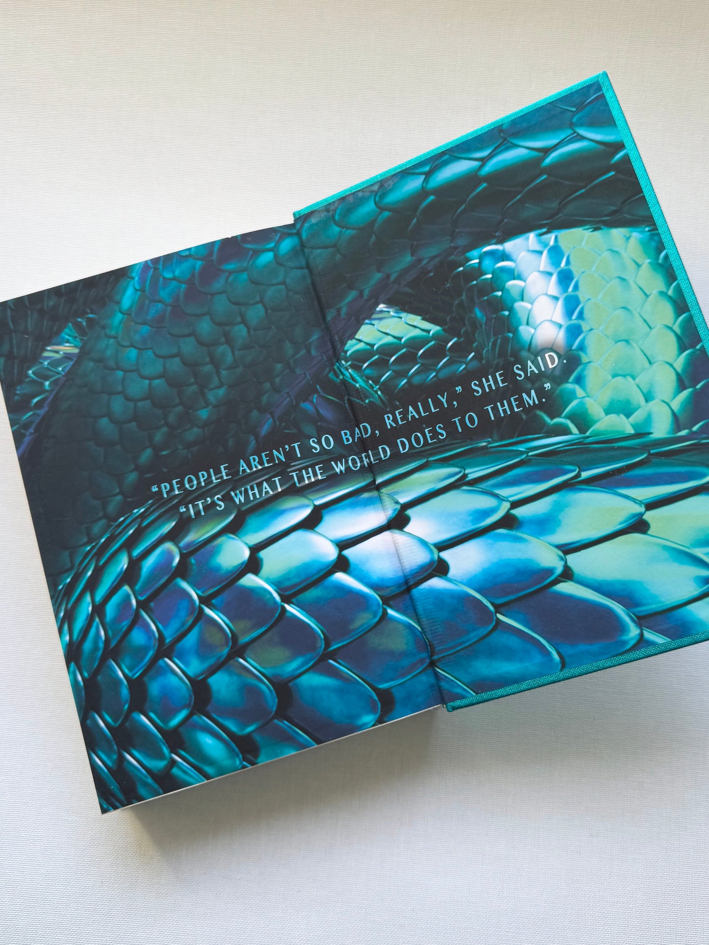 The Ballad of Songbirds & Snakes