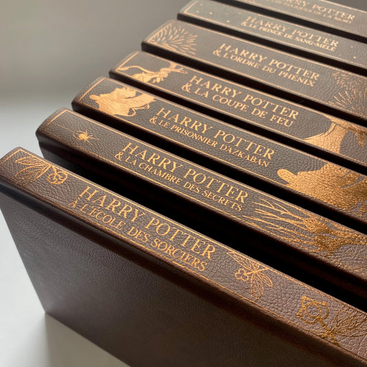 Harry Potter (set français personnalisable)