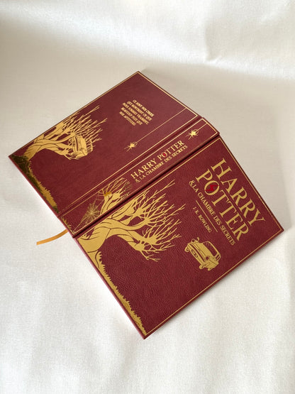 Harry Potter (set français personnalisable)