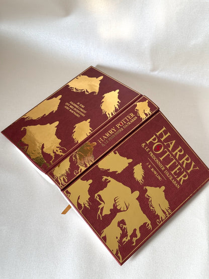Harry Potter (set français personnalisable)